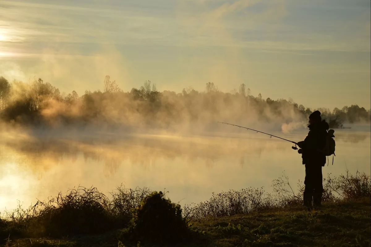 Утренняя рыбалка: наслаждение природой и уловом