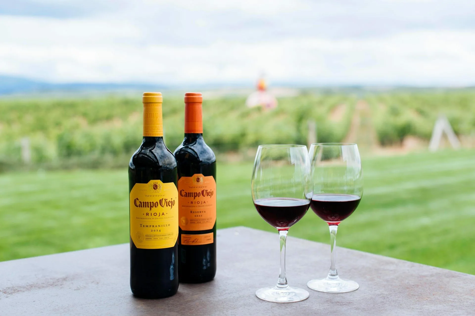 Хорошее испанское вино: богатство и разнообразие виноделия